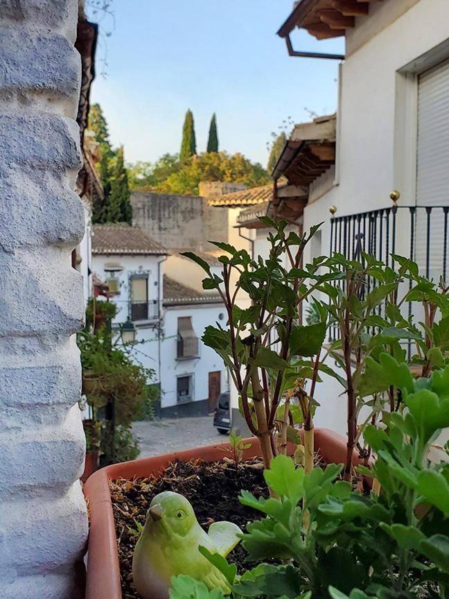 Villa Baños del Agua Granada Exterior foto